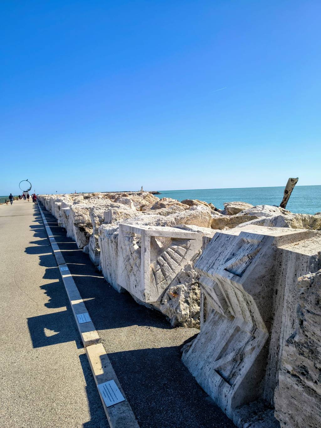 Fiore in cubo e un errore di identità: il museo d’arte sul Mare, di San Benedetto del Tronto si confronta con&nbsp;Mincu